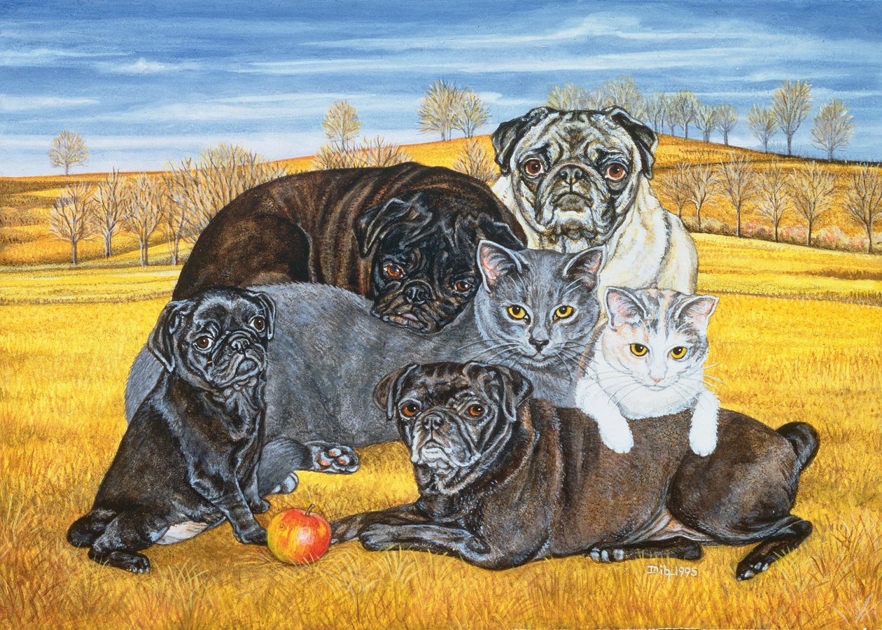 Hocking County Pug-Katten, 1995 door Ditz