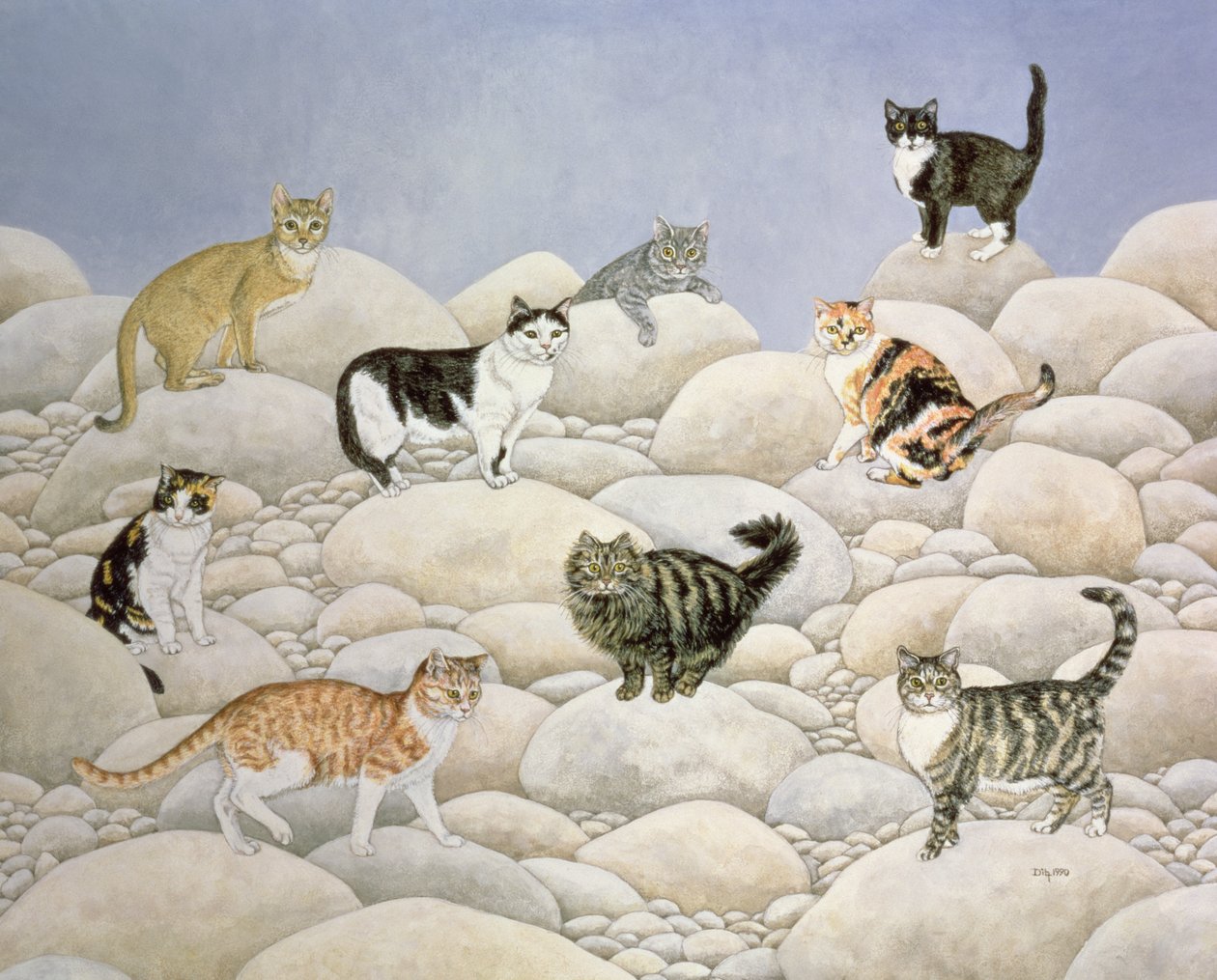 Lynn Valley-katten door Ditz