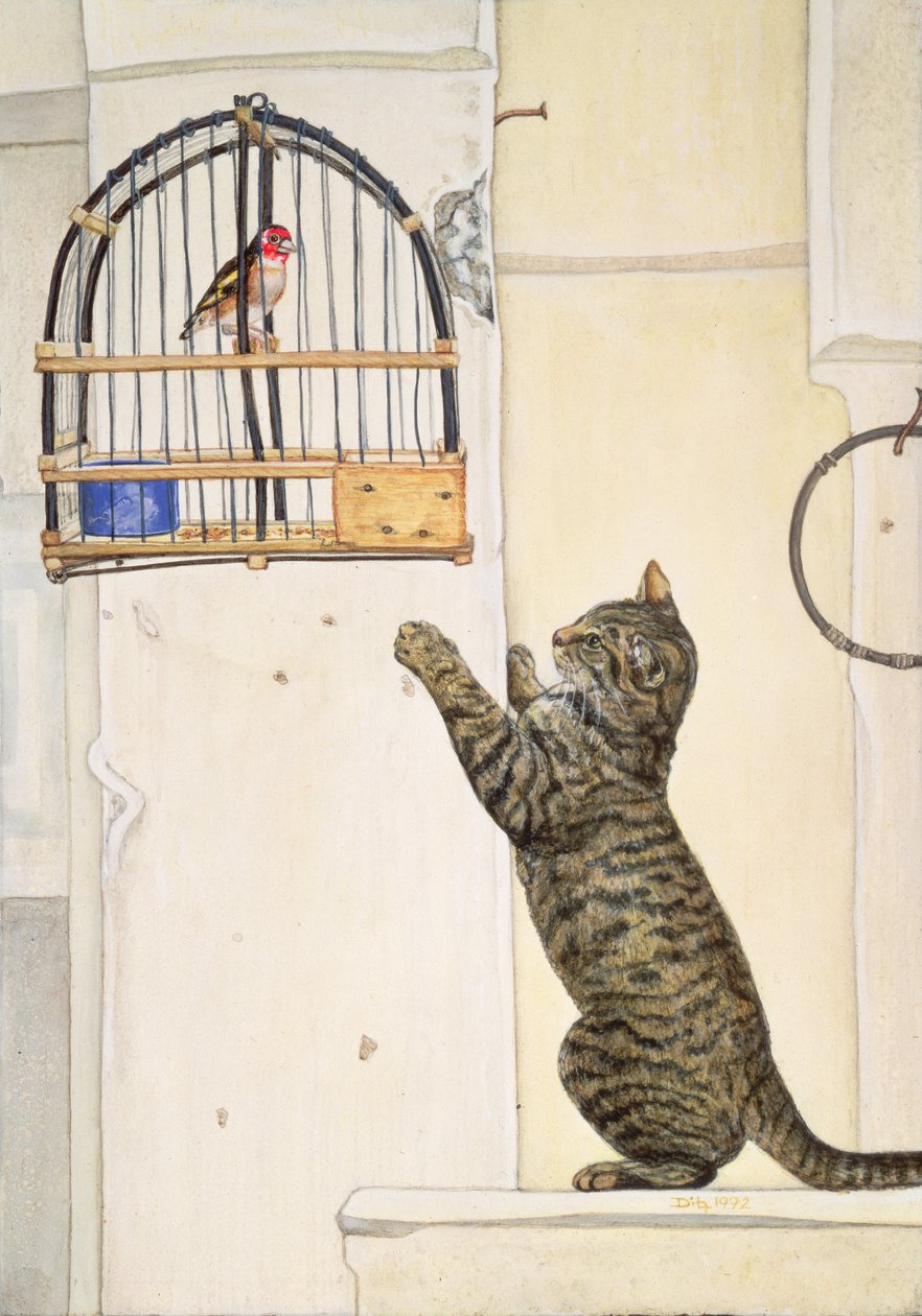 De Essuaira-vogel door Ditz