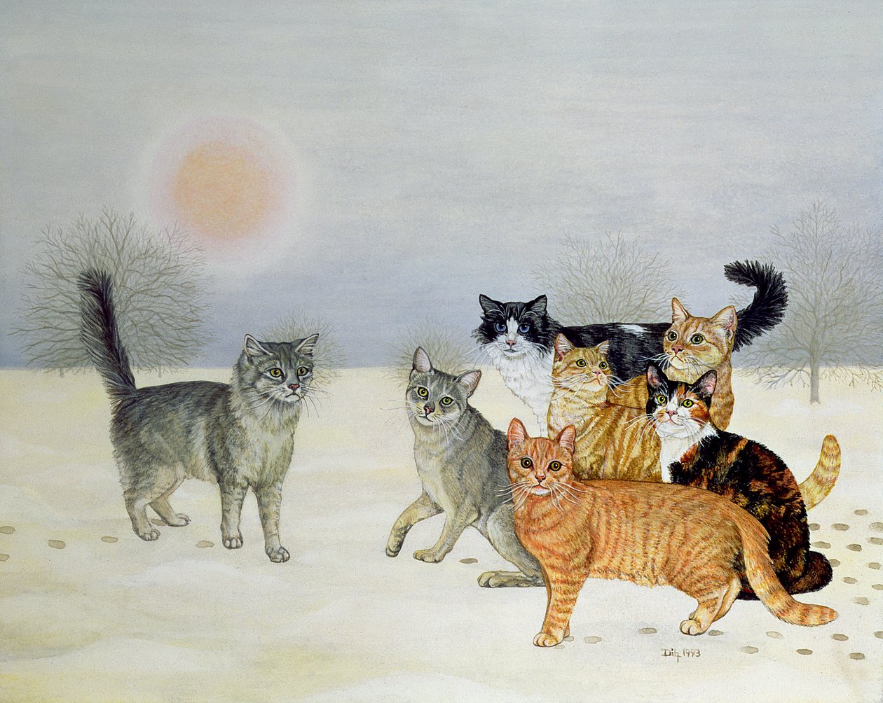 Winter-Katten door Ditz