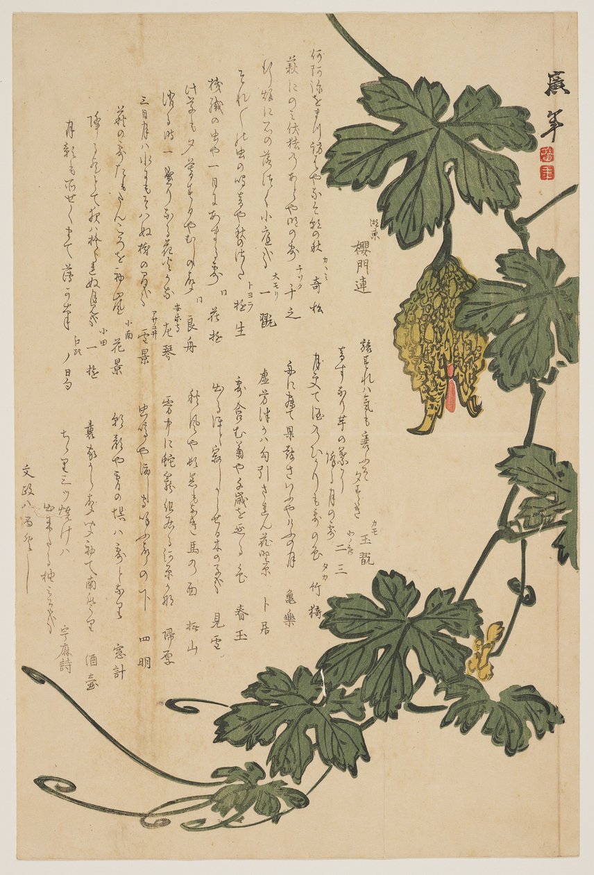 Bittere meloen door Dodo Hirotoshi