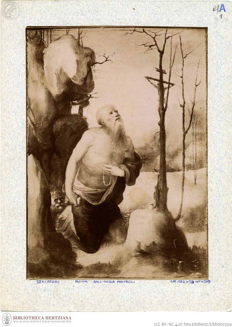 Beccafumi - Boetvaardige Hiëronymus, inventarisnr. 166 door Domenico Beccafumi