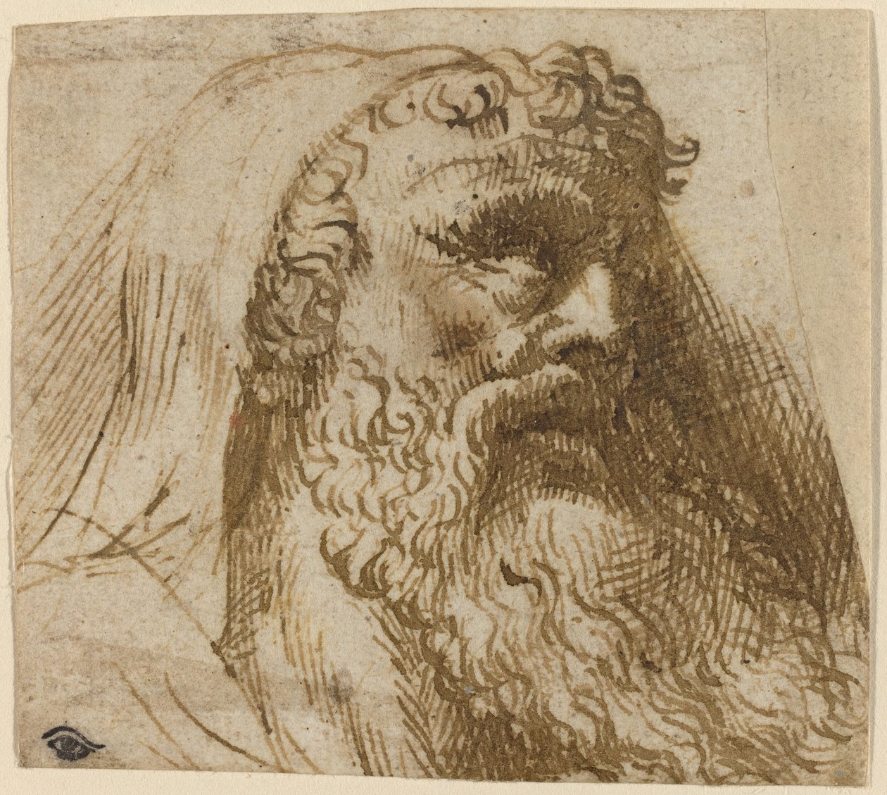 Hoofd van een Man door Domenico Campagnola