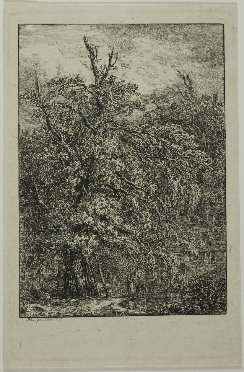 Grote boom door Domenico Quaglio
