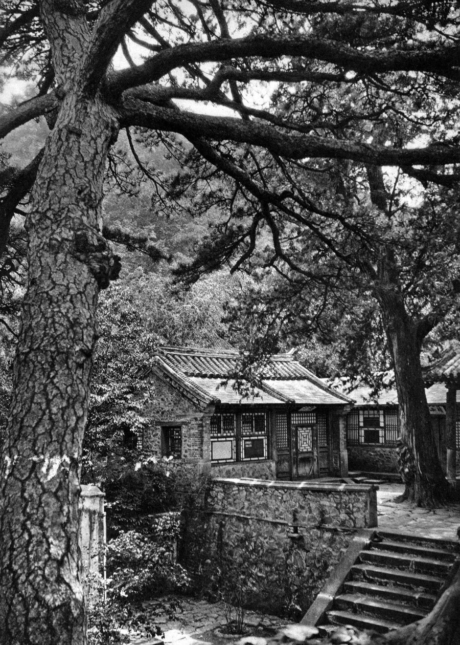Westelijke heuvels, Haidan District, Beijing door Donald Mennie