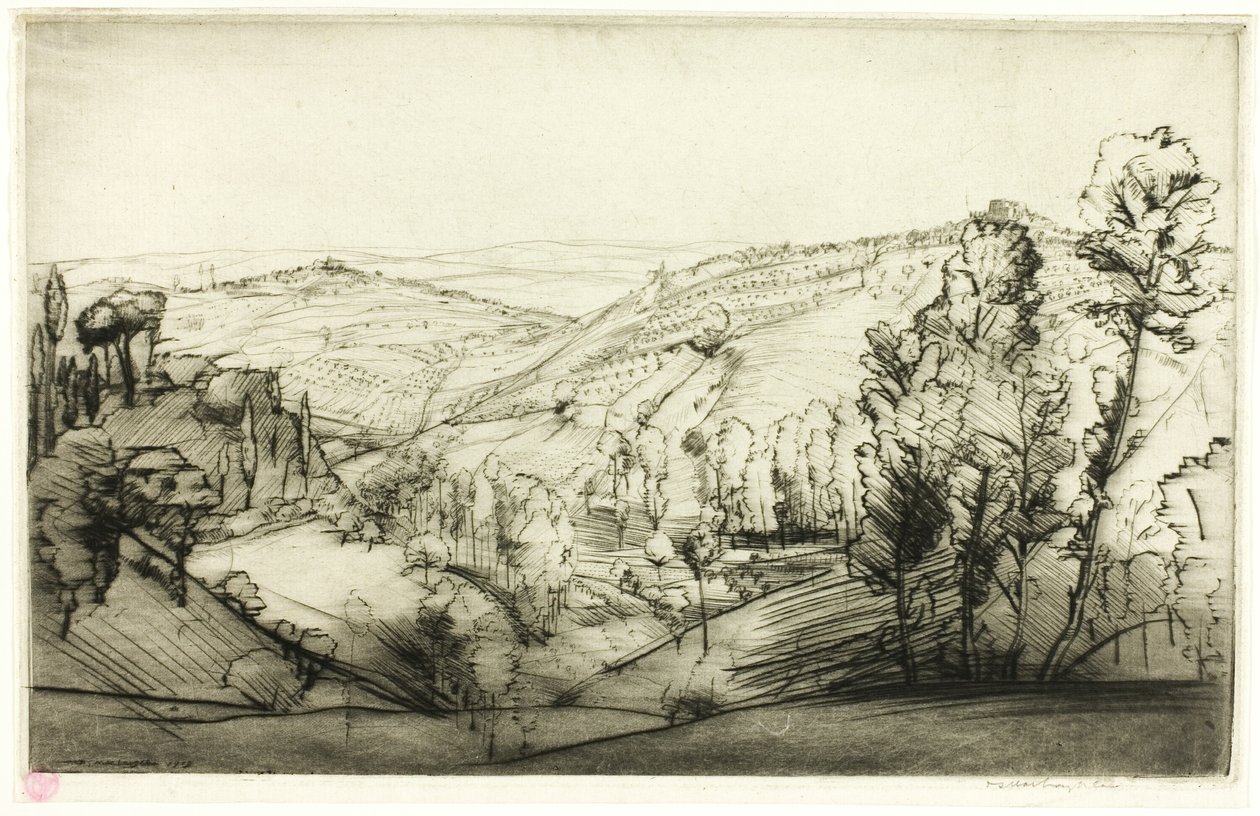 Velden van San Gimignano door Donald Shaw MacLaughlan