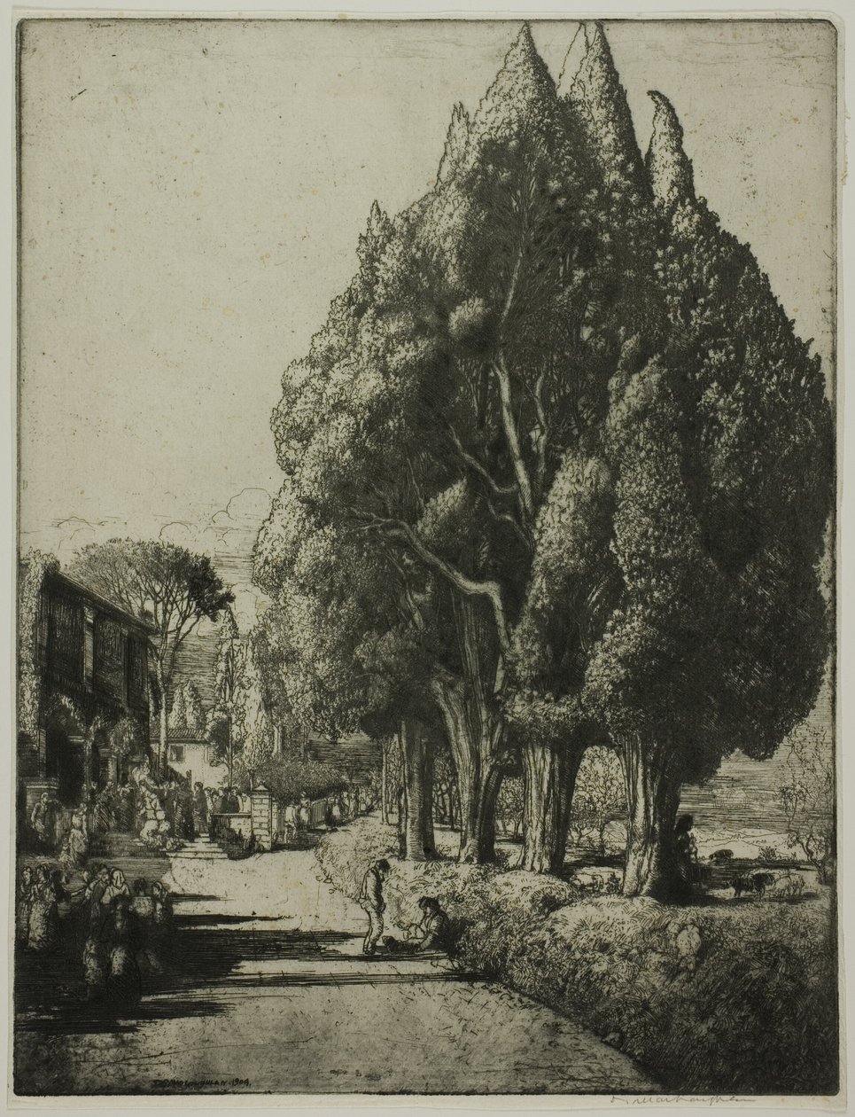 Het cipressenbos door Donald Shaw MacLaughlan