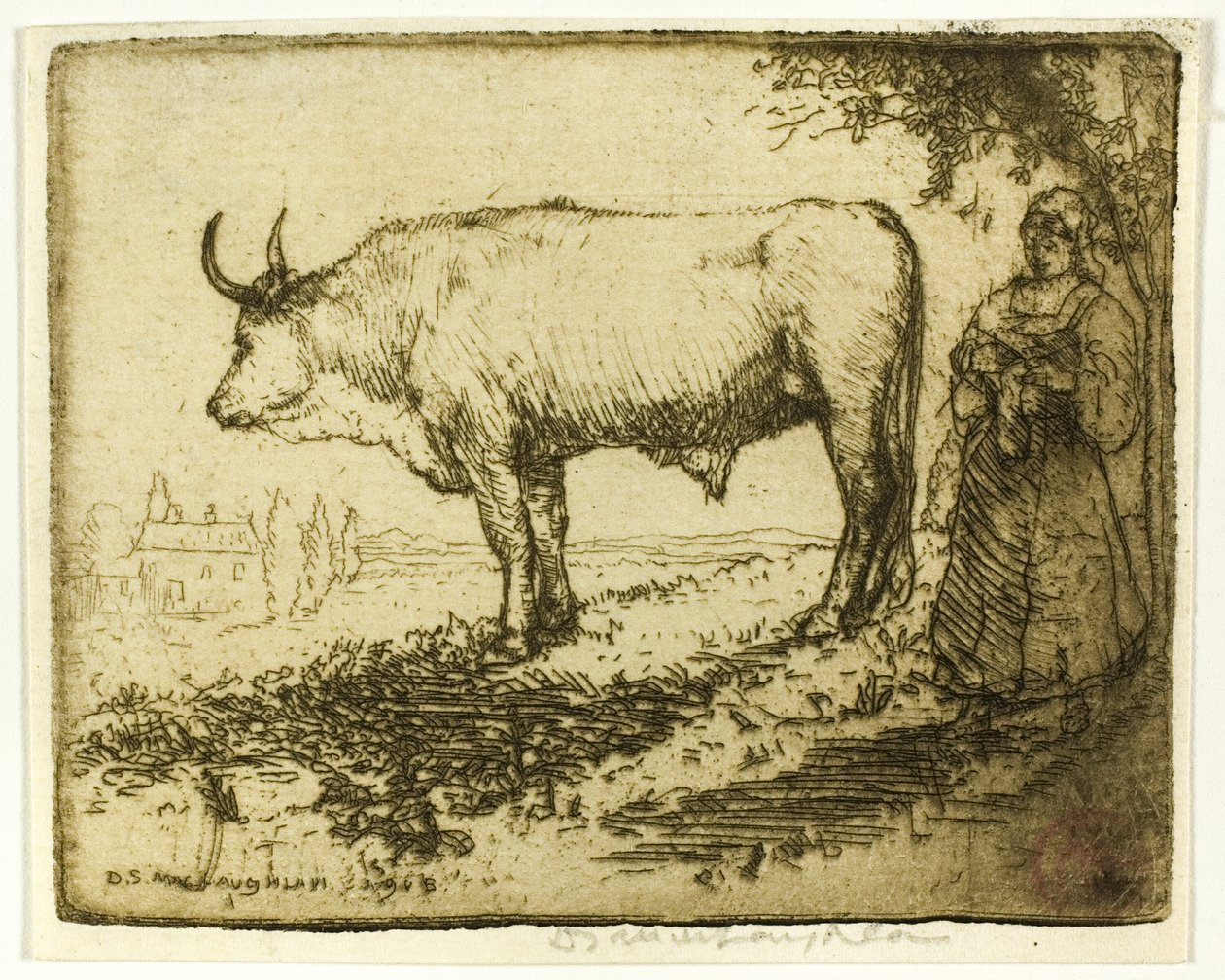 De witte os door Donald Shaw MacLaughlan