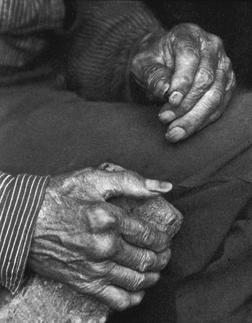 De handen van een arbeider, 1925 door Doris Ulmann