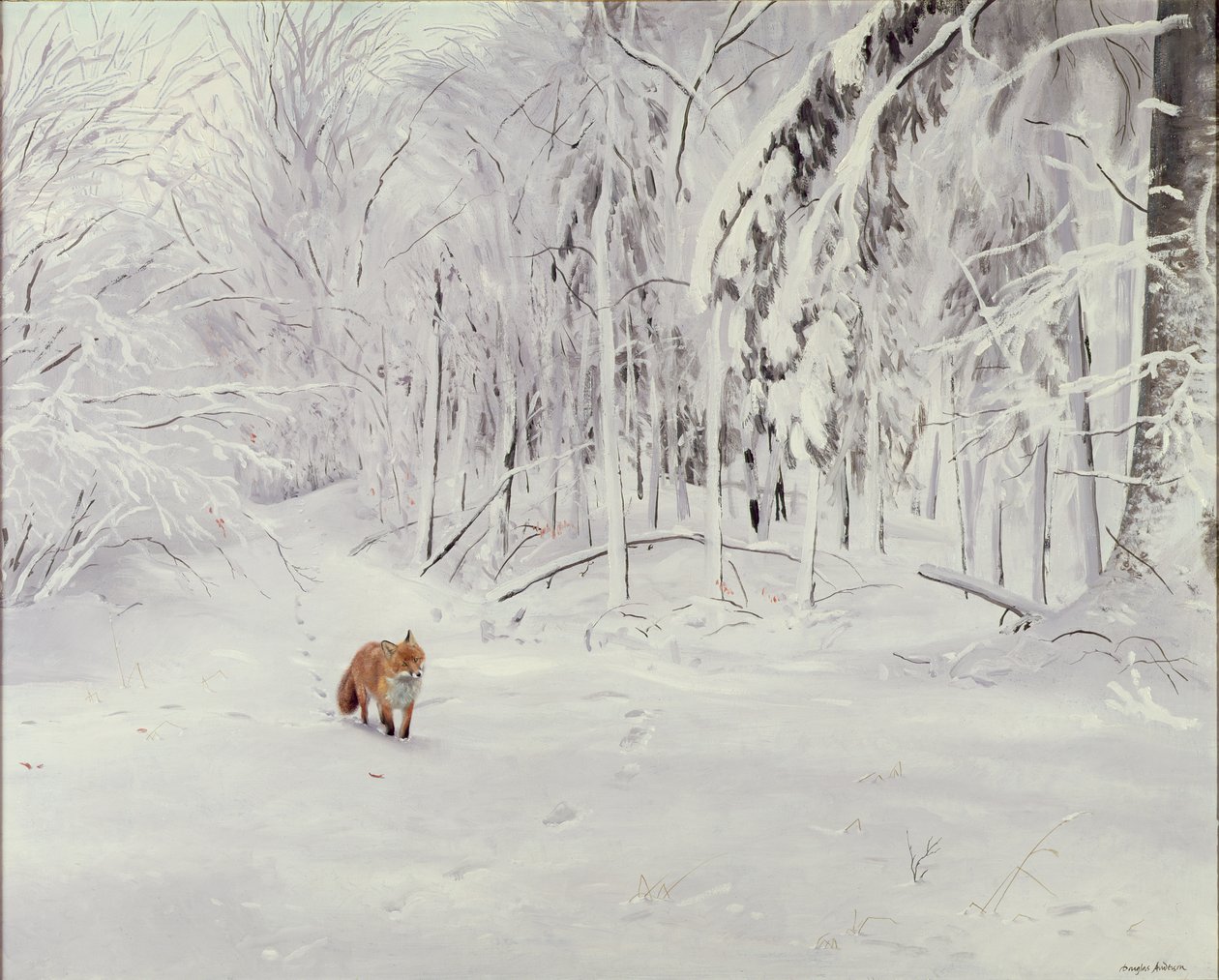 Vos in diepe sneeuw door Douglas Anderson