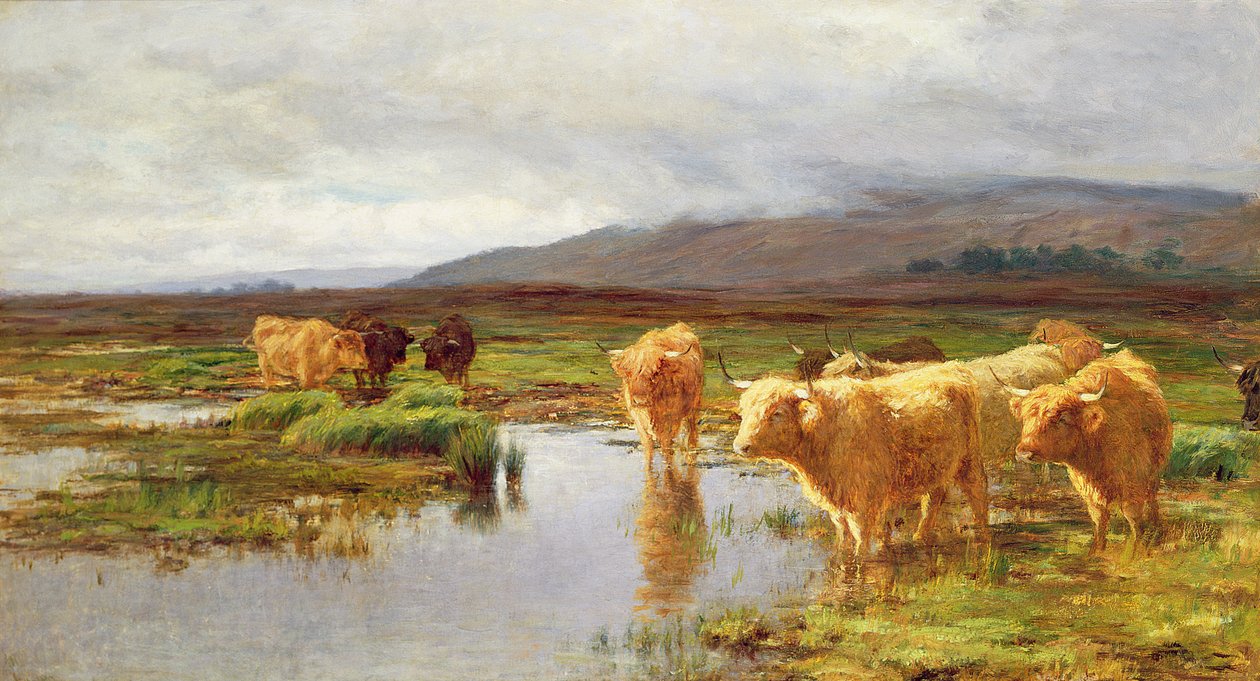Heidevelden en mist door Duncan McLaurin