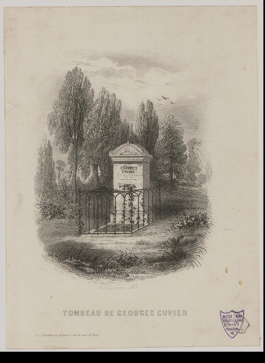 Graf van Georges Cuvier door E. Chavanne