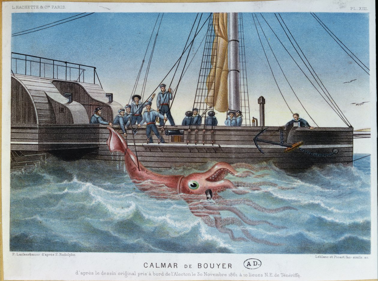 De reuzeninktvis gevangen door de Alecton voor de kust van Tenerife, 30 november 1861, gegraveerd door Leblanc & Picart door E. Rodolphe