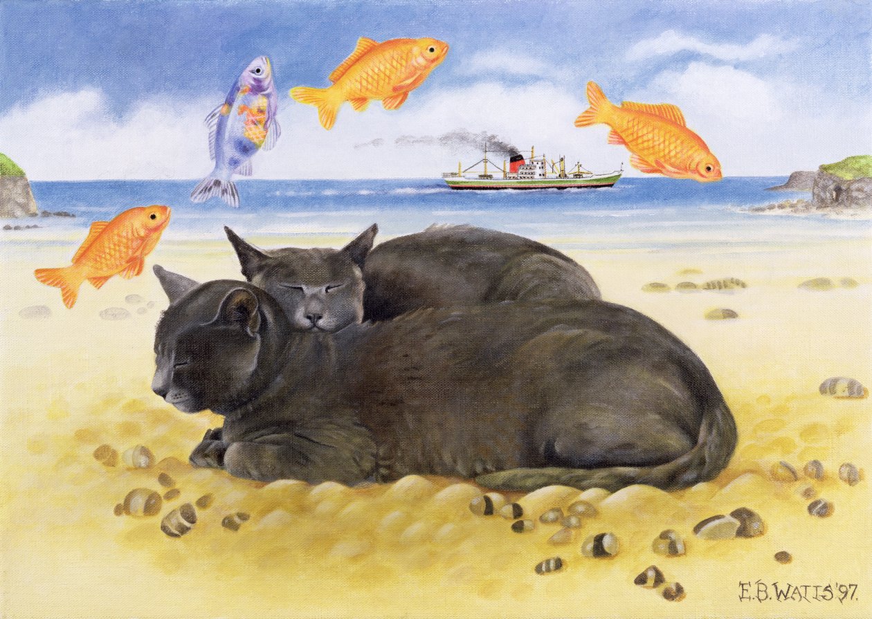 Visdromen, 1997 door E.B. Watts