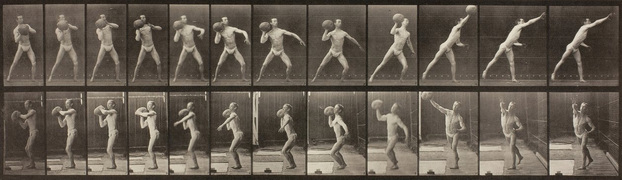 Dierenbeweging, Plaat 319, 1887 door Eadweard Muybridge