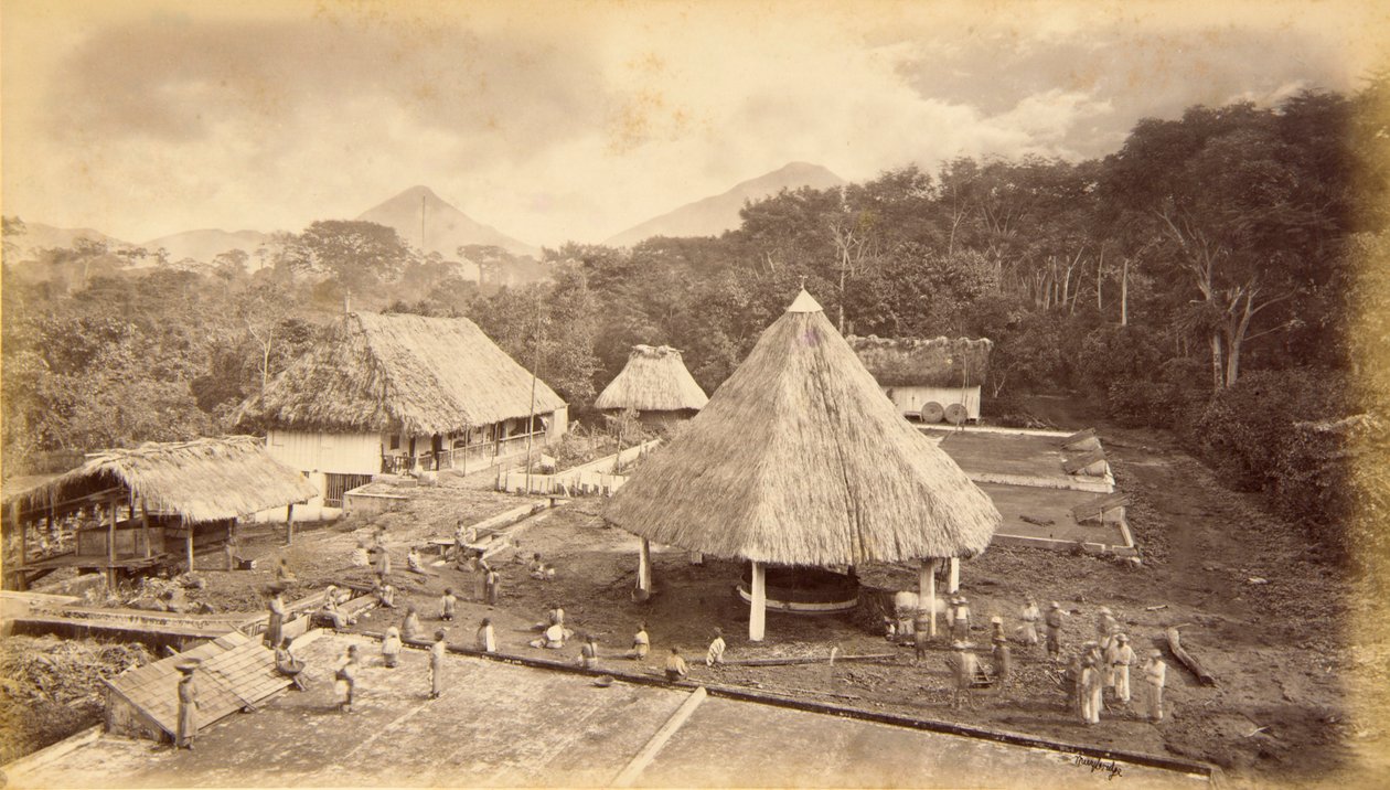 Hacienda William Nelson, San Isidro, Guatemala door Eadweard Muybridge