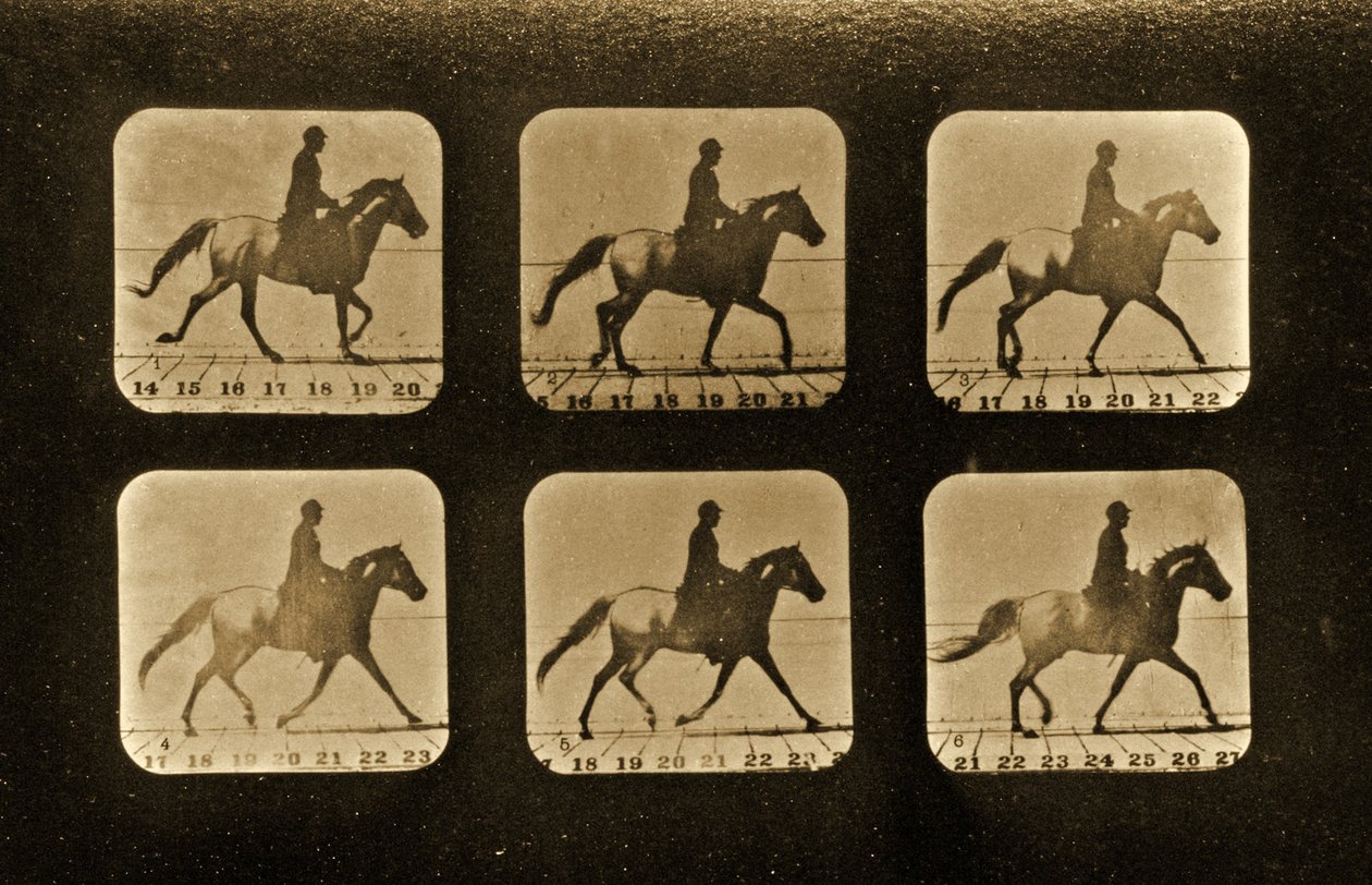 Paarden. Onregelmatig, 