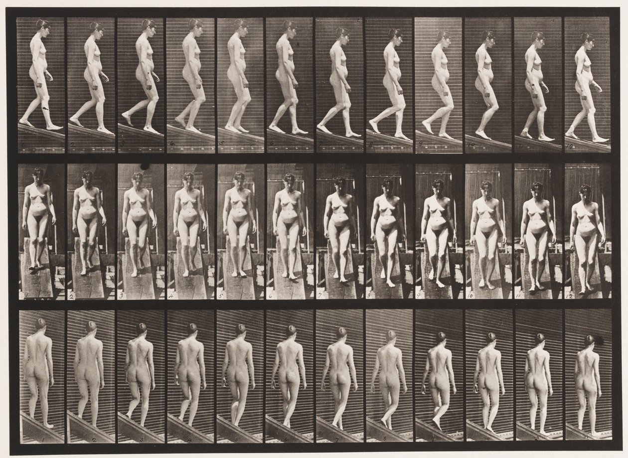 Hellend vlak afdalen door Eadweard Muybridge