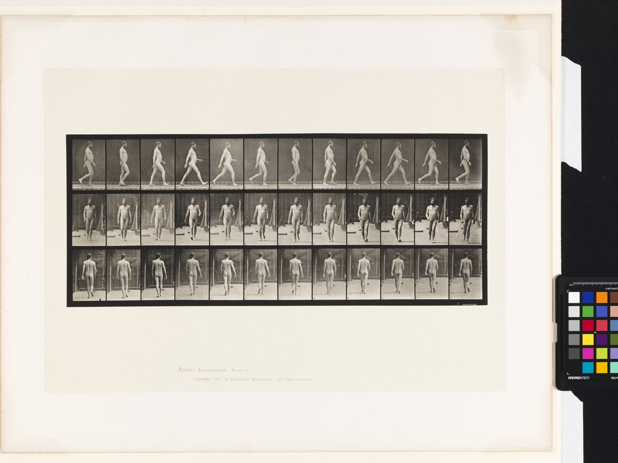 Plaat 11. Lopen door Eadweard Muybridge
