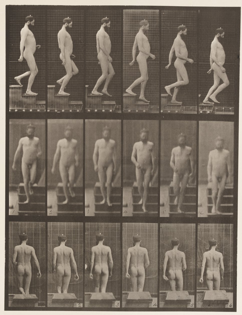 Trap aflopen door Eadweard Muybridge