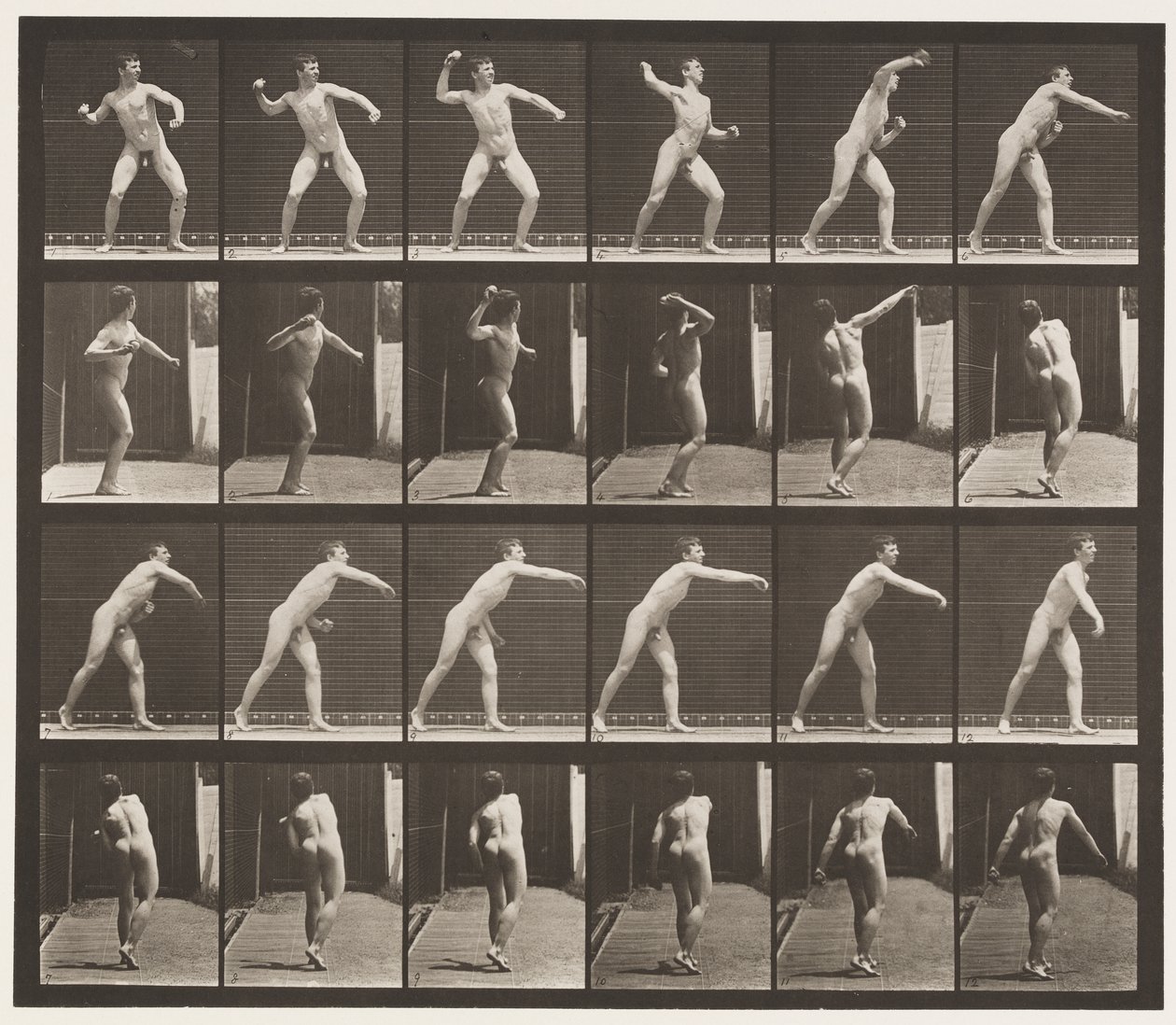 Plaat 286. Honkbal; Gooien door Eadweard Muybridge