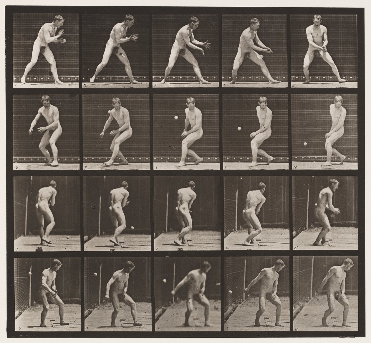Plaat 288. Honkbal; Fout door Eadweard Muybridge