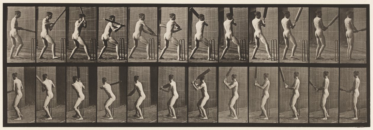Plaat 292. Cricket; slaan; rug naar buiten, 1885 door Eadweard Muybridge