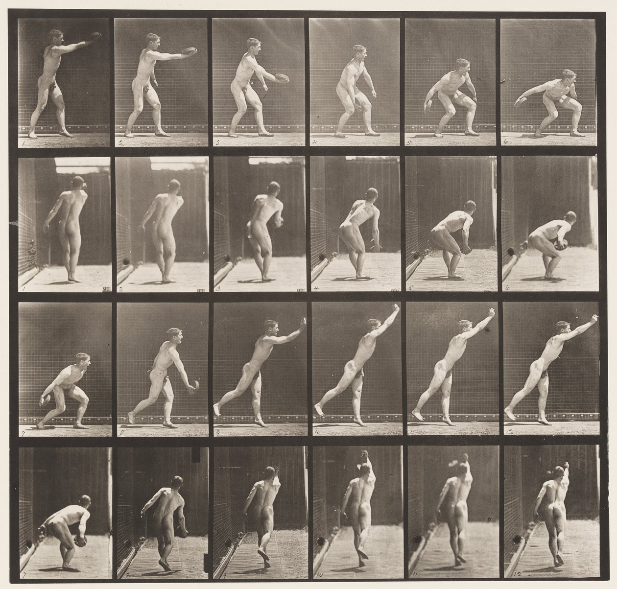 Plaat 307. IJzeren schijf werpen, 1872-1885 door Eadweard Muybridge