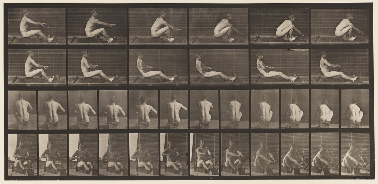 Plaat 328. Roeien door Eadweard Muybridge
