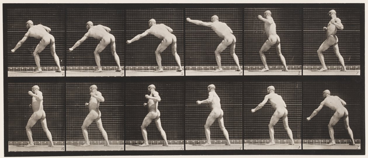 Plaat 343. Een slag slaan (linkerhand) door Eadweard Muybridge