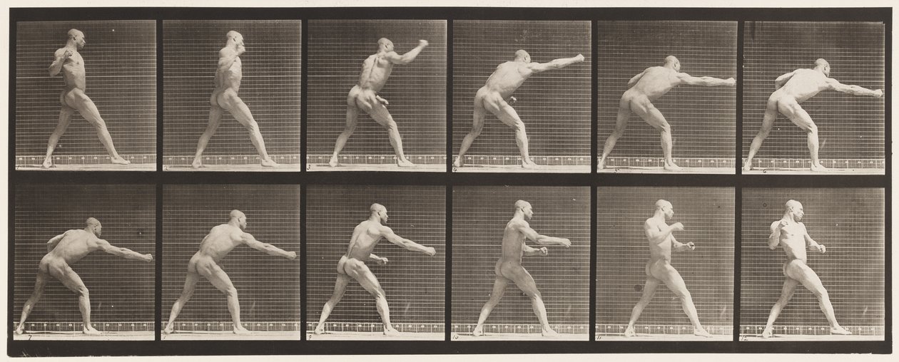 Plaat 344. Een slag toebrengen (rechterhand) door Eadweard Muybridge