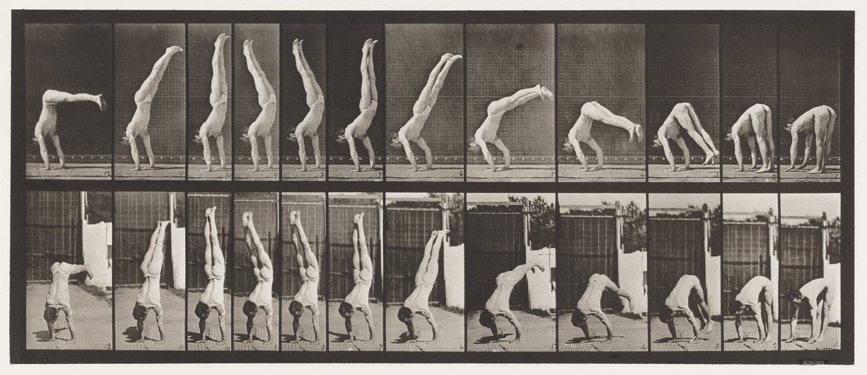 Plaat 371. Acrobat, verticale opdruk door Eadweard Muybridge