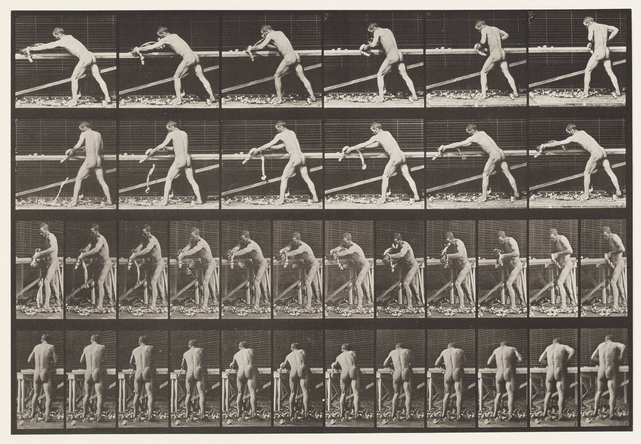 Timmerman, Een Plank Schaven, 1872-1885 door Eadweard Muybridge