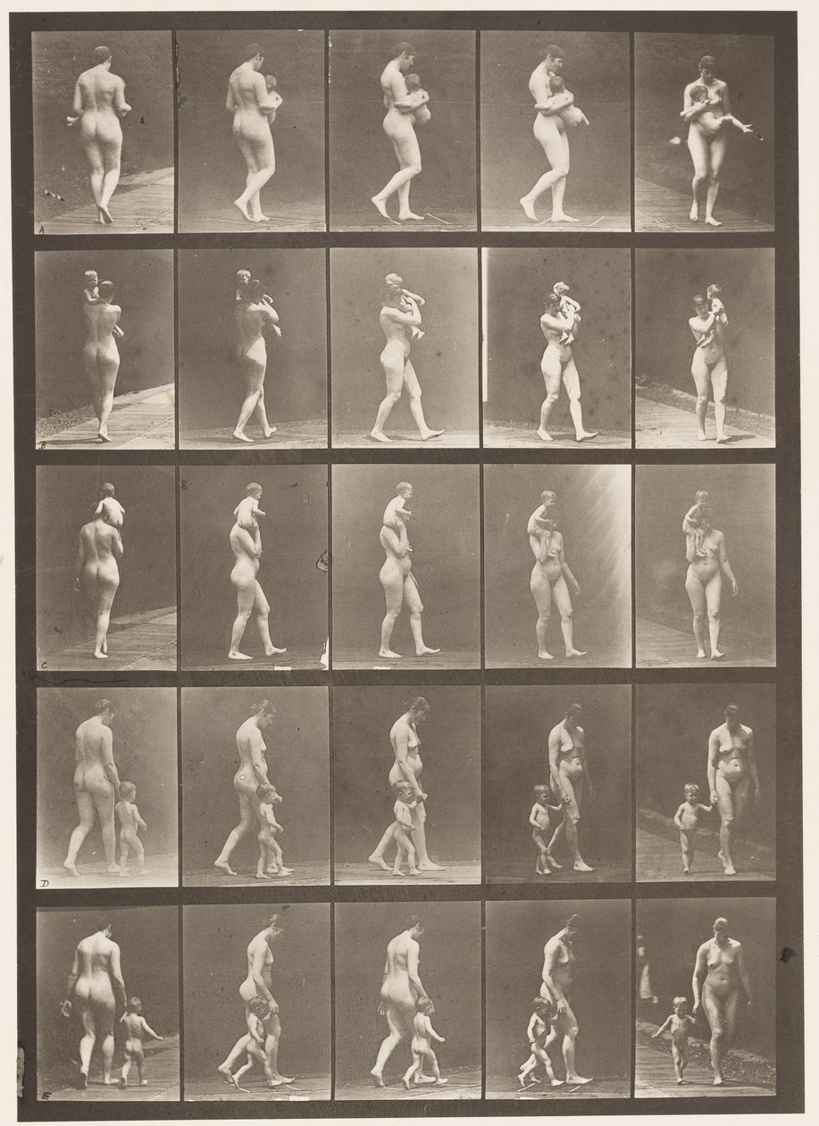 Plaat 528. A,B,C door Eadweard Muybridge
