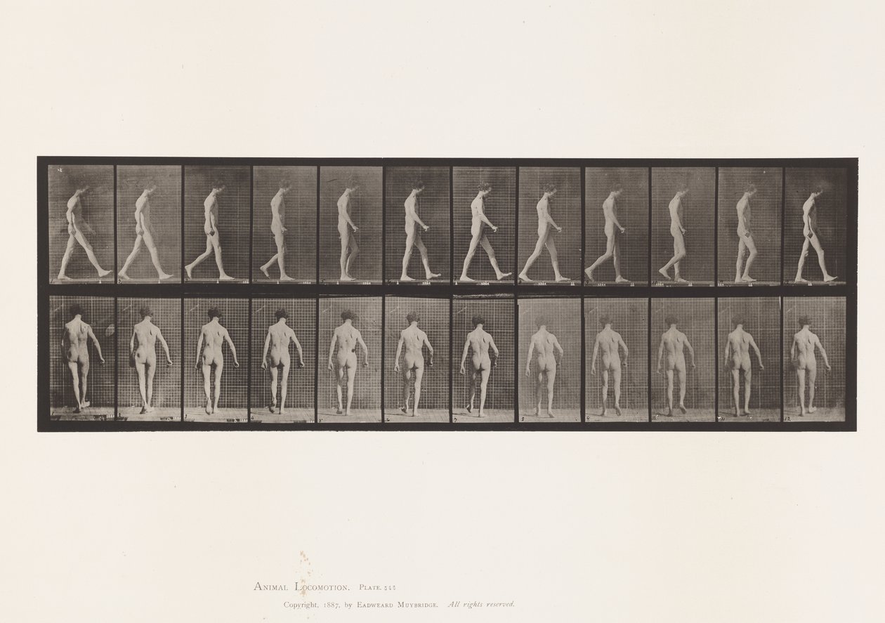 Locomotor Ataxie; Lopen door Eadweard Muybridge