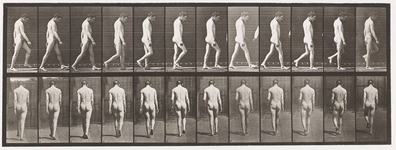 Epilepsie; lopen door Eadweard Muybridge