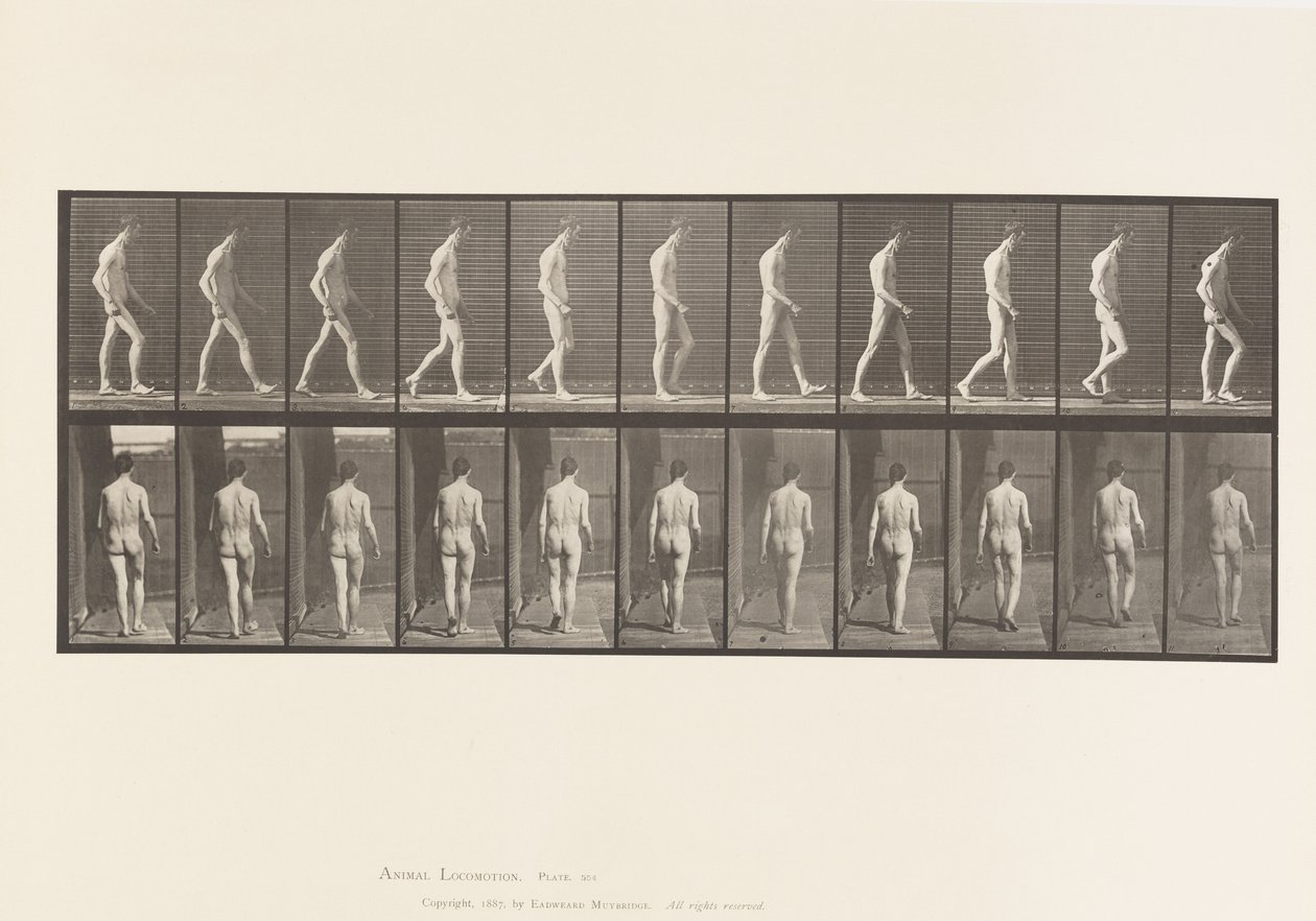 Locomotorische ataxie; lopen door Eadweard Muybridge
