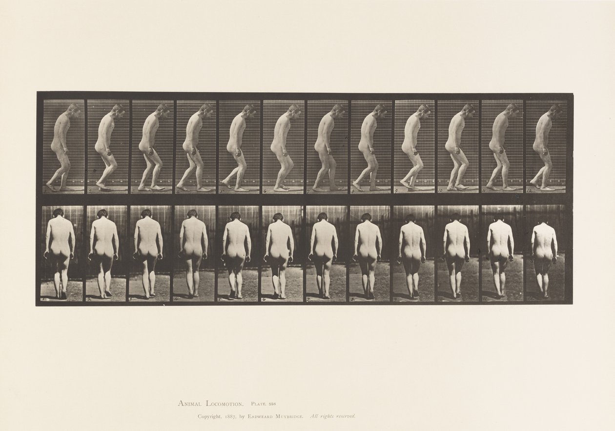 Plaat 558. Paraplegie; gedeeltelijk; lopen, 1885 door Eadweard Muybridge