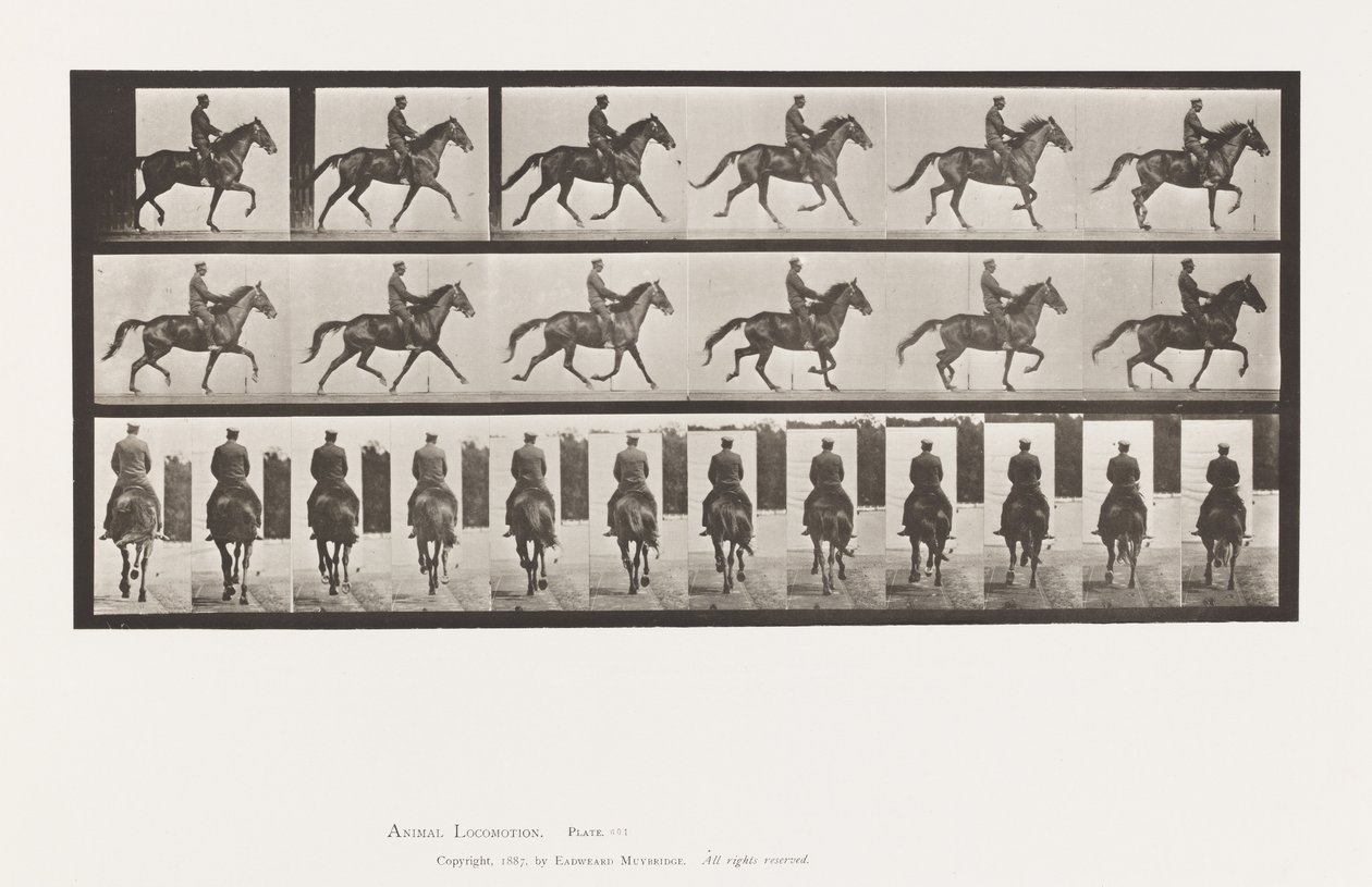 Plaat 601. Draven; Zadel; Bruine Merrie Beauty door Eadweard Muybridge