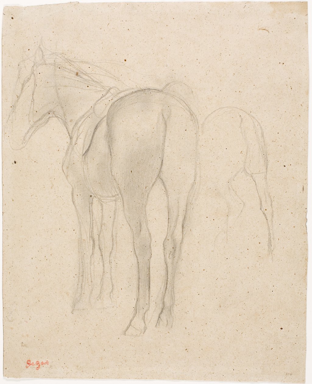 Studies van een Paard door Edgar Degas
