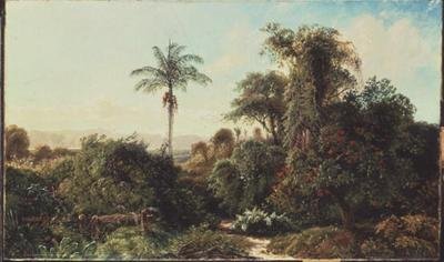 Cubaans landschap door Edmund Darch Lewis