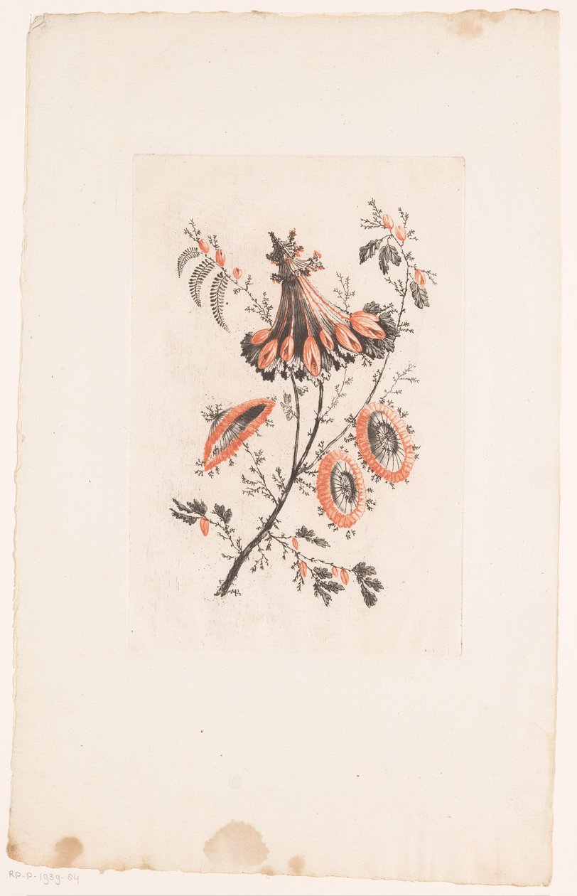 Parasolvormige bloemen door Edouard Gautier Dagoty