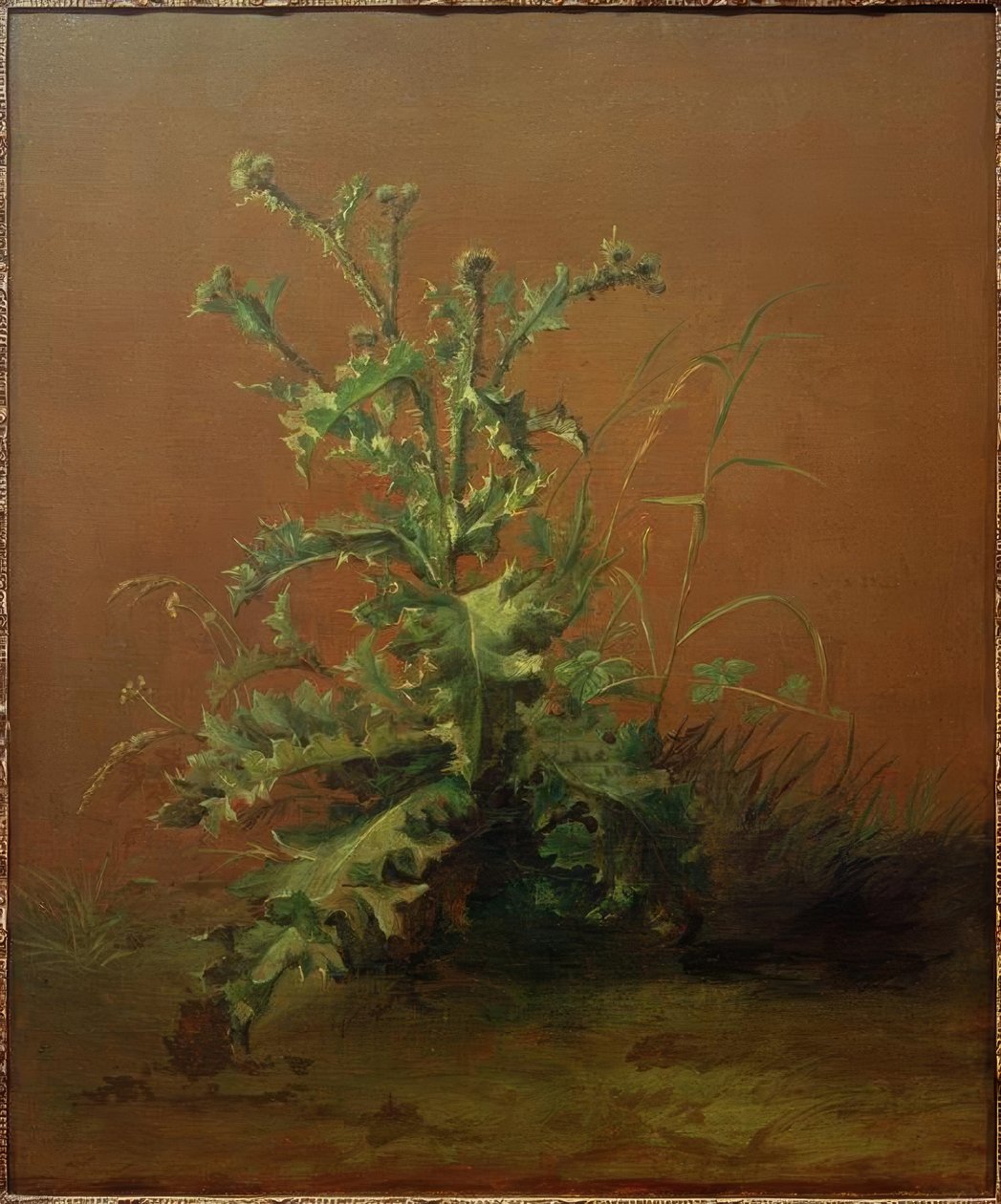 De distel door Édouard Manet