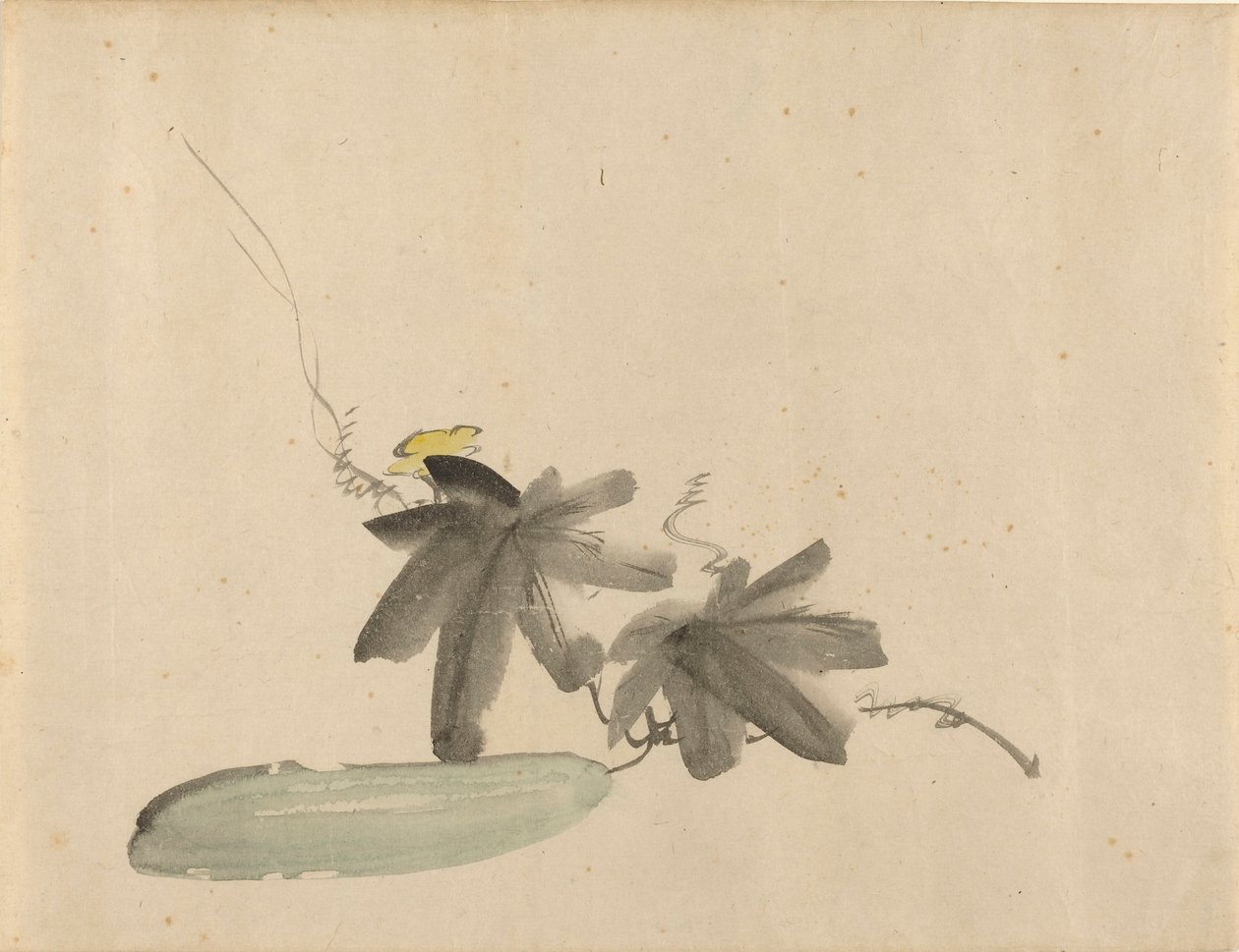 Manet - Komkommer met bladeren, ca. 1880 door Édouard Manet