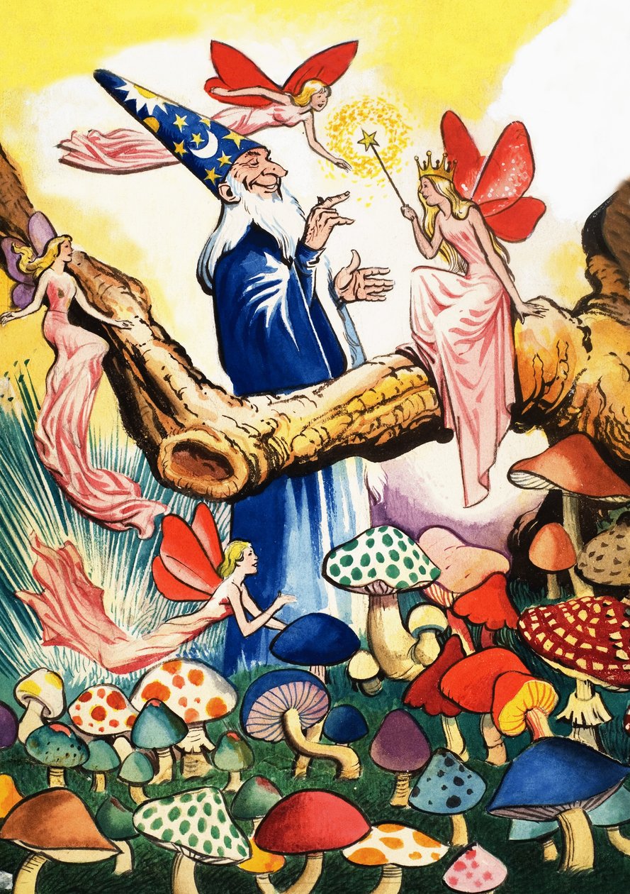 Tovenaar in het paddenstoelenbos door Eduardo Teixeira Coelho
