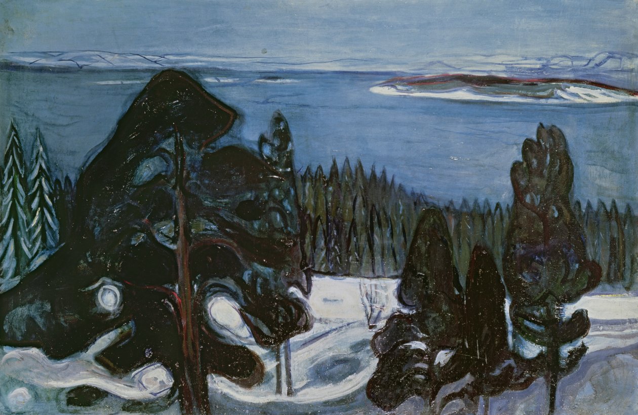 Winternacht, c.1900 door Edvard Munch