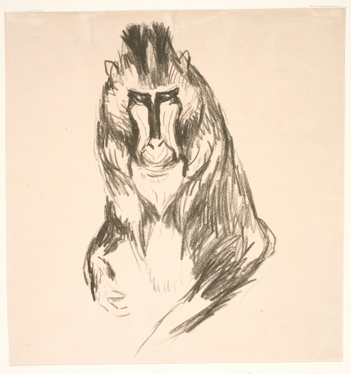 Gorilla (Mandril) door Edvard Munch