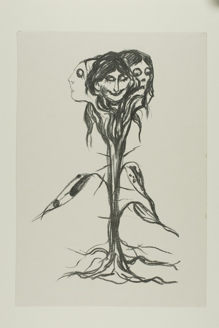 Vignet: Amaryllis door Edvard Munch