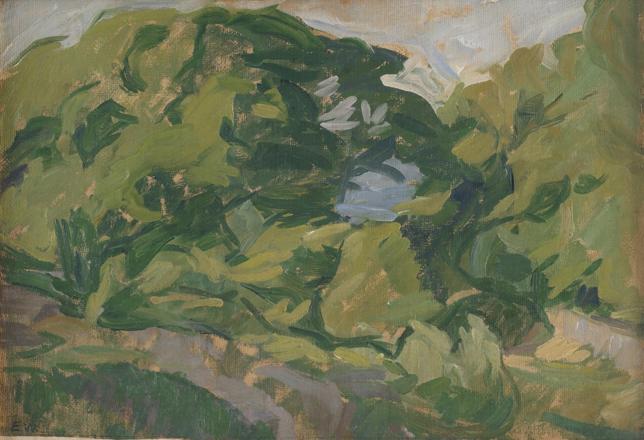 Landschap, Christiansø door Edvard Weie