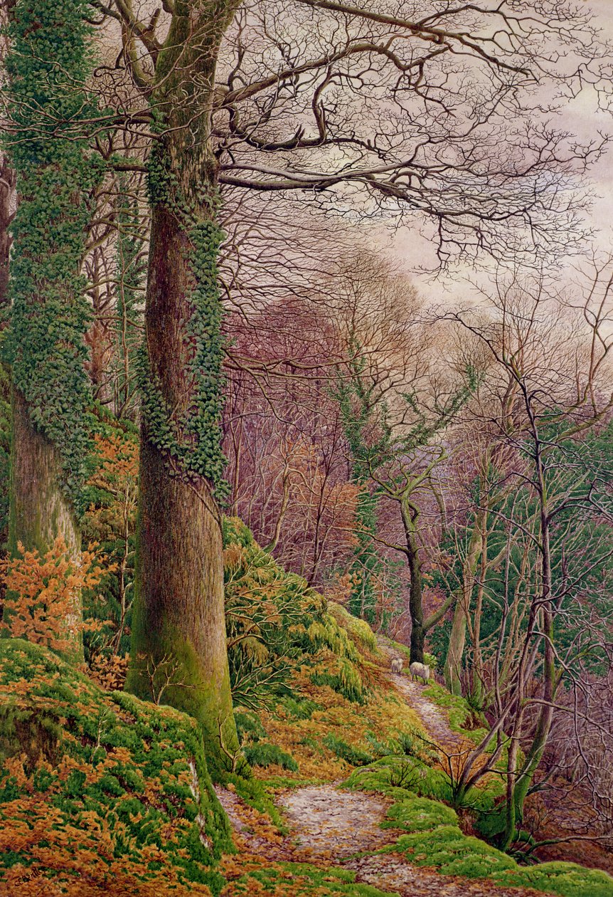 Een pad in het bos door Edward Bentley